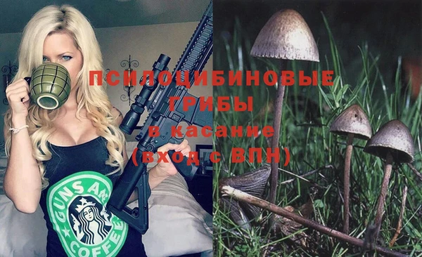 мяу мяу мука Алексеевка