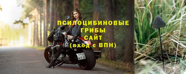 спиды Алзамай